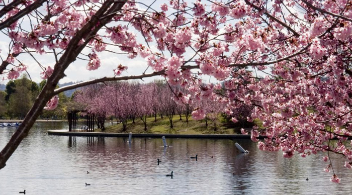 Lake Balboa